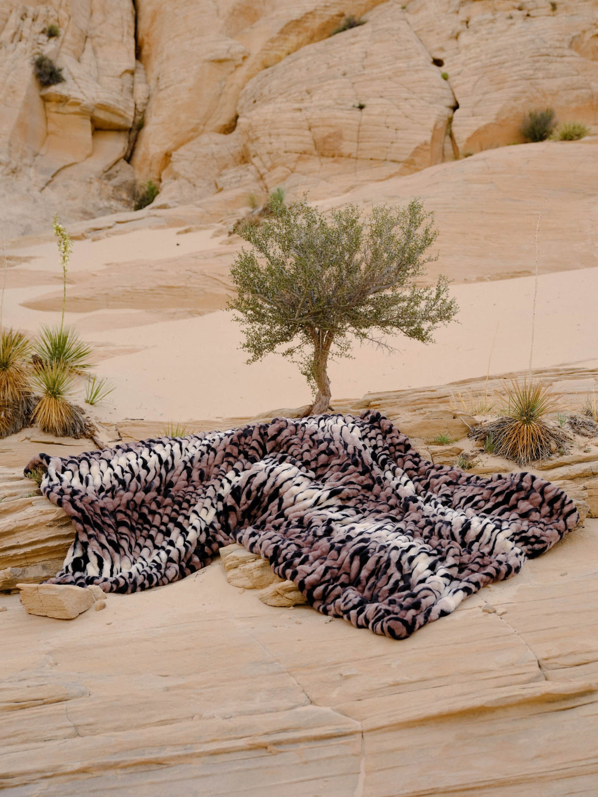 Dreamer Blanket - Super Soft, Cozy Oversized Blanket
