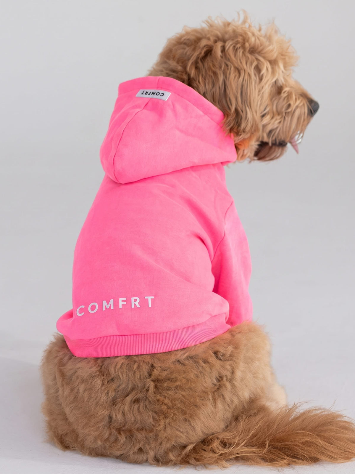 Tranquil Paw Hoodie