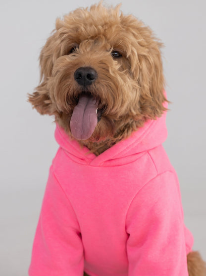 Tranquil Paw Hoodie