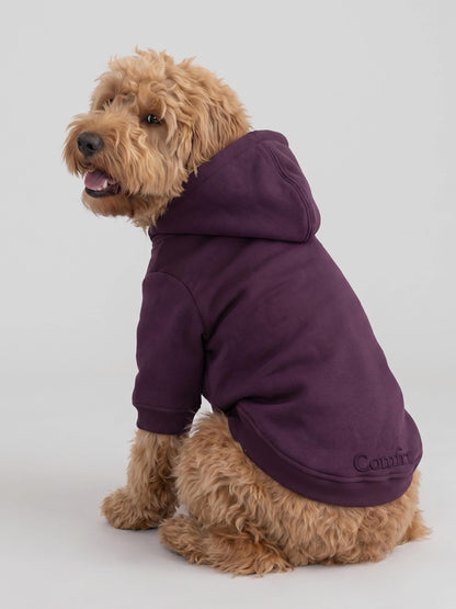Minimalist Paw Hoodie