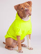 Electric Yellow